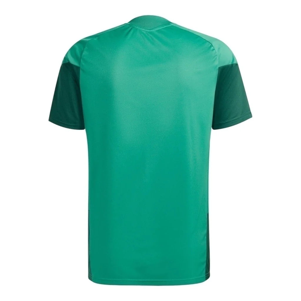 2026 Training T-Shirt - Green/Red alternate product view