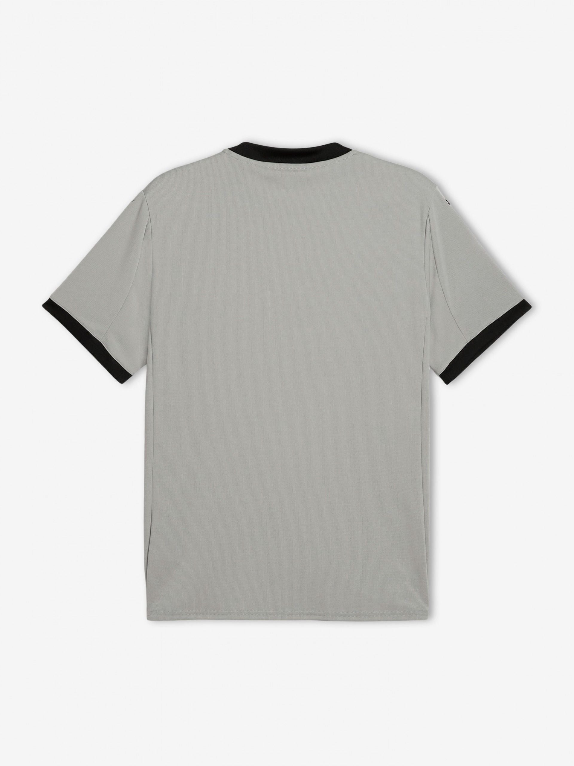 2026 Goalkeeper Jersey Fan Version - Gray back view football supporters