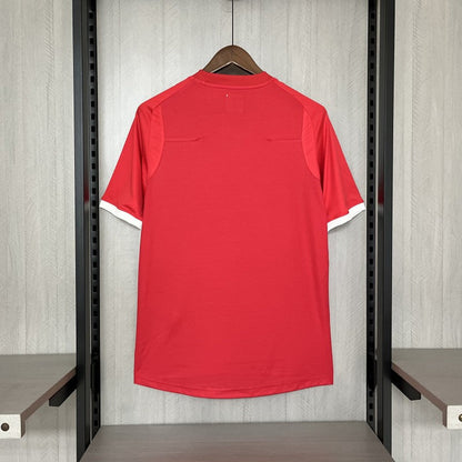 2013 Away Retro Shirt - back view