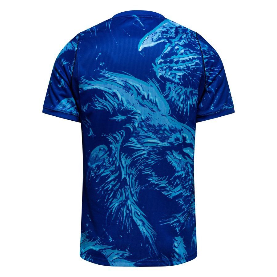 2026 goalkeeper football jersey – fan version