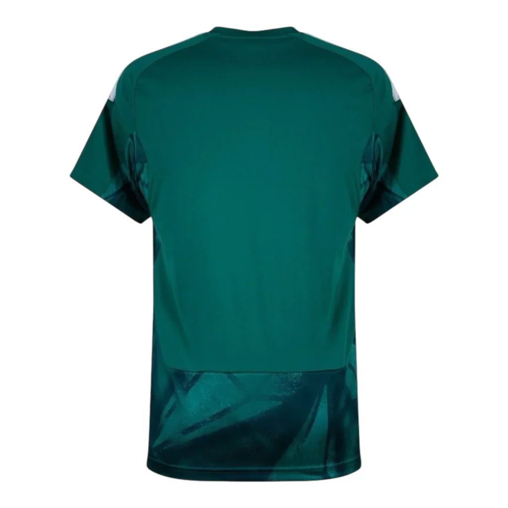 26/27 goalkeeper football jersey – fan version