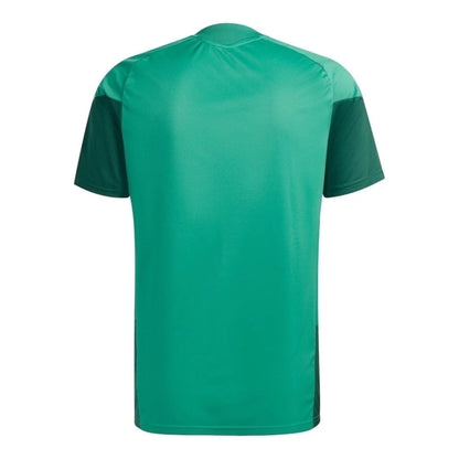 2026 Training T-Shirt - Green/Red alternate product view