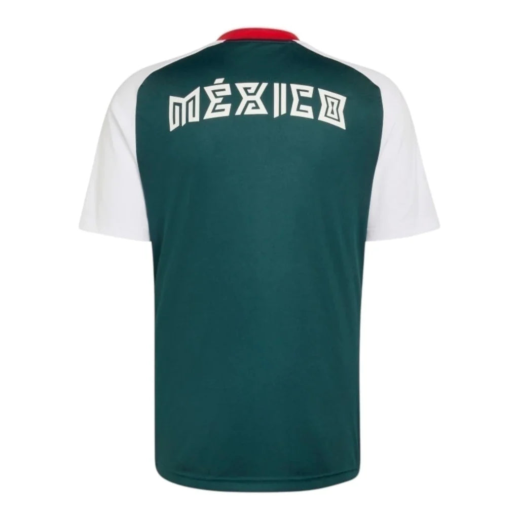 2026/27 Training Suit - Green/White back view football supporters