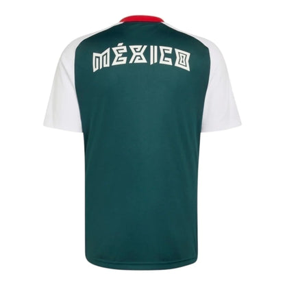 2026/27 Training Suit - Green/White back view football supporters